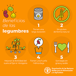 beneficios legumbres